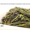 Premium Taiwan Green Tea from Nuvola Tea
