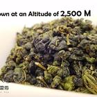 Taiwan Da Yu Ling Oolong Tea from Nuvola Tea
