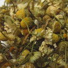 Organic Egyptian Chamomile from Murchie's Tea & Coffee