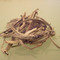 Select Tips from Art of Tea