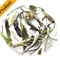 No.1 Bai Mu Dan from Tip Top Tea