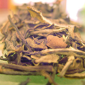 White Peony from Art of Tea