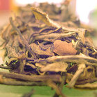 White Peony from Art of Tea