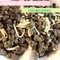 I Dream of Milk & Coconut {Oolong Blend} from iHeartTeas