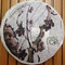 "Heart of the Old Tree" Sheng Pu'er 2012 from Mandala Tea