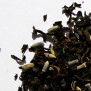 Marquise Grey from Durango Coffee Company