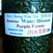 Jasmine Water Blossom from Van Cheong's Fine Tea