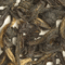 Assam Hattialli Estate TGFOP1 from Upton Tea Imports