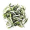 Superfine White Peony Tea from Vicony Teas