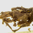 Bao Zhong High Grade - Pouchong from Art of Tea