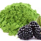 Boysenberry Matcha from Red Leaf Tea