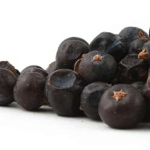 Juniper Berries from Mountain Rose Herbs