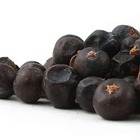 Juniper Berries from Mountain Rose Herbs