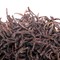 Earl Grey from In Pursuit of Tea