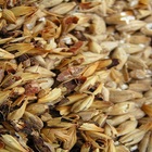 Crystal Malt from Malt-Tea.com