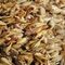 Crystal Malt from Malt-Tea.com