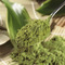 Japan Matcha Bio from Paul Schrader