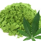 Hemp Matcha from Red Leaf Tea