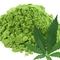 Hemp Matcha from Red Leaf Tea