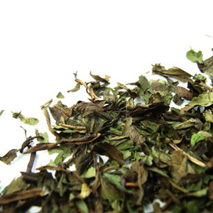 English Peppermint from Tiger Spring Tea