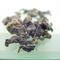 Kings Tea from Art of Tea