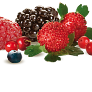 Forest Fruit from Mistral