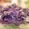 Wuyi Oolong from Art of Tea