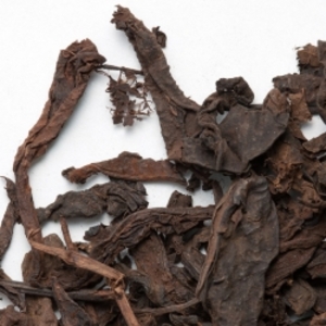 Liu Bao 1996 Nong Jia from Camellia Sinensis