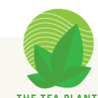 Raspberry Melody from The Tea Plant