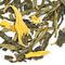 Decaf Apricot Green from Adagio Teas