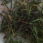 Bamboo Leaf Tea from Bamboo Leaf Tea