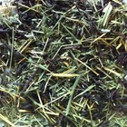 Breakfast Black from Bamboo Leaf Tea