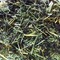 Breakfast Black from Bamboo Leaf Tea