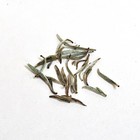 Yin Zhen (Silver Needle) from Canton Tea Co