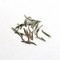 Yin Zhen (Silver Needle) from Canton Tea Co