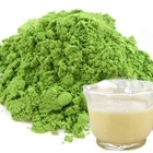 Eggnog Matcha from Red Leaf Tea