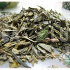 Bancha Shizuoka Organic from Tealux