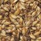 Crystal Malt 120 from Malt-Tea.com
