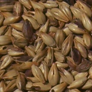 Crystal Malt 60 from Malt-Tea.com