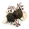 Yunnan Tuo Cha Pu-erh Tea from Nature's Tea Leaf