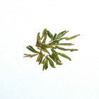 Superior Long Jing (Dragon Well) from Canton Tea Co
