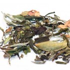 Malibu White Tea from Infinitea Teahouse