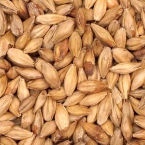 Belgian Aromatic from Malt-Tea.com