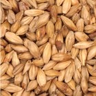 Belgian Aromatic from Malt-Tea.com