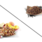 Peach Tranquility + Honeybush Vanilla from Teavana