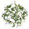 2012 Spring Harvest Bi Luo Chun from Imperial Tea Court