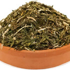 Vanilla Mint Sencha from Maya Tea Company