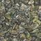 Green Snail from Shanti Tea