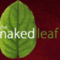 Maple Chai from The Naked Leaf