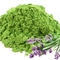Lavender Matcha from Red Leaf Tea